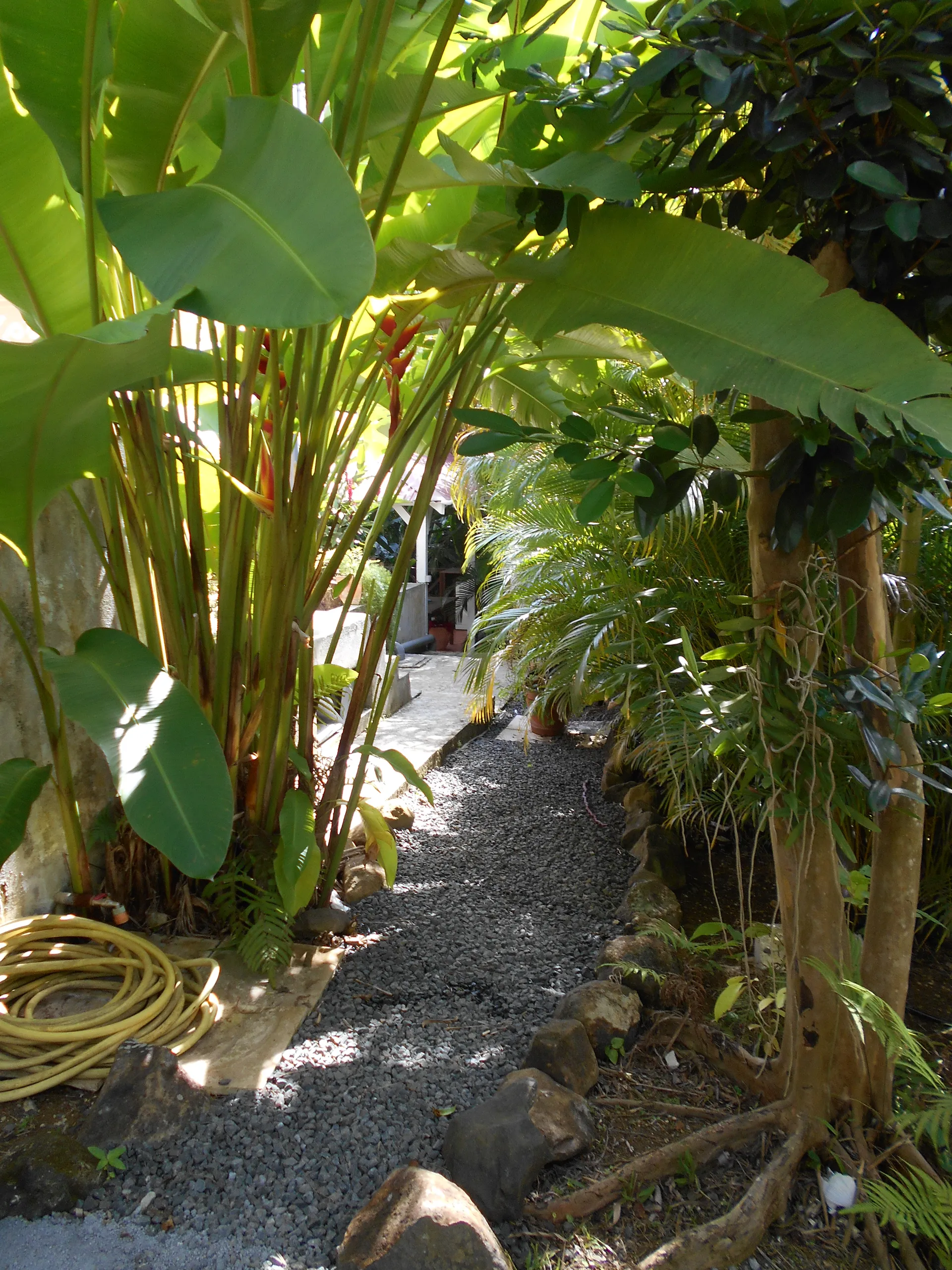 Photo du gîte Sik a koko